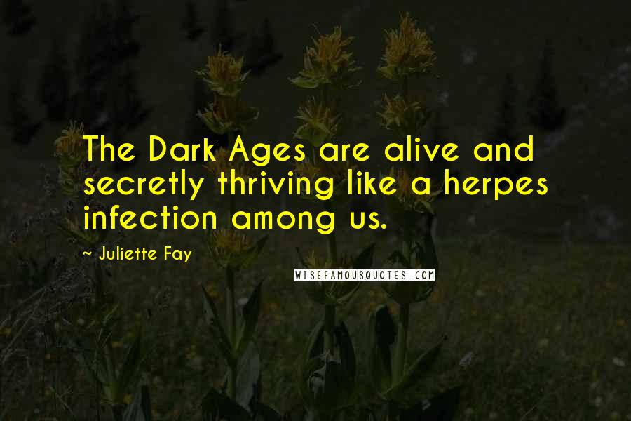 Juliette Fay quotes: The Dark Ages are alive and secretly thriving like a herpes infection among us.