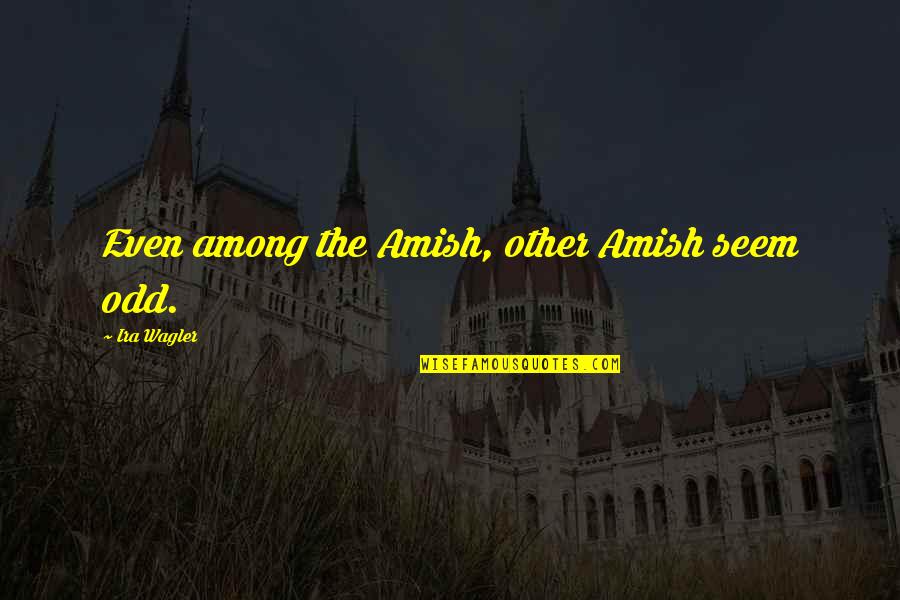 Julio Cesar Chavez Quotes By Ira Wagler: Even among the Amish, other Amish seem odd. Julio Cesar Chavez Quotes By Ira Wagler: Even among the Amish, other Amish seem odd.