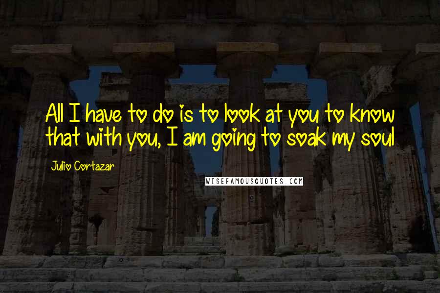Julio Cortazar quotes: All I have to do is to look at you to know that with you, I am going to soak my soul