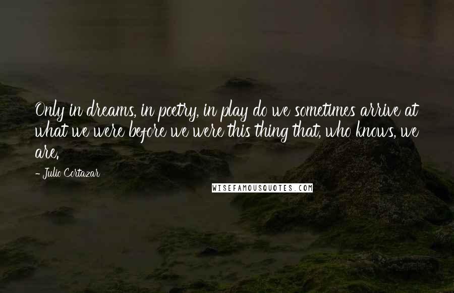 Julio Cortazar quotes: Only in dreams, in poetry, in play do we sometimes arrive at what we were before we were this thing that, who knows, we are.