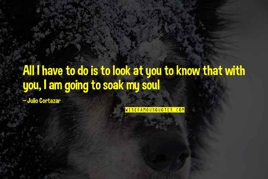 Julio Cortazar Quotes By Julio Cortazar: All I have to do is to look Julio Cortazar Quotes By Julio Cortazar: All I have to do is to look