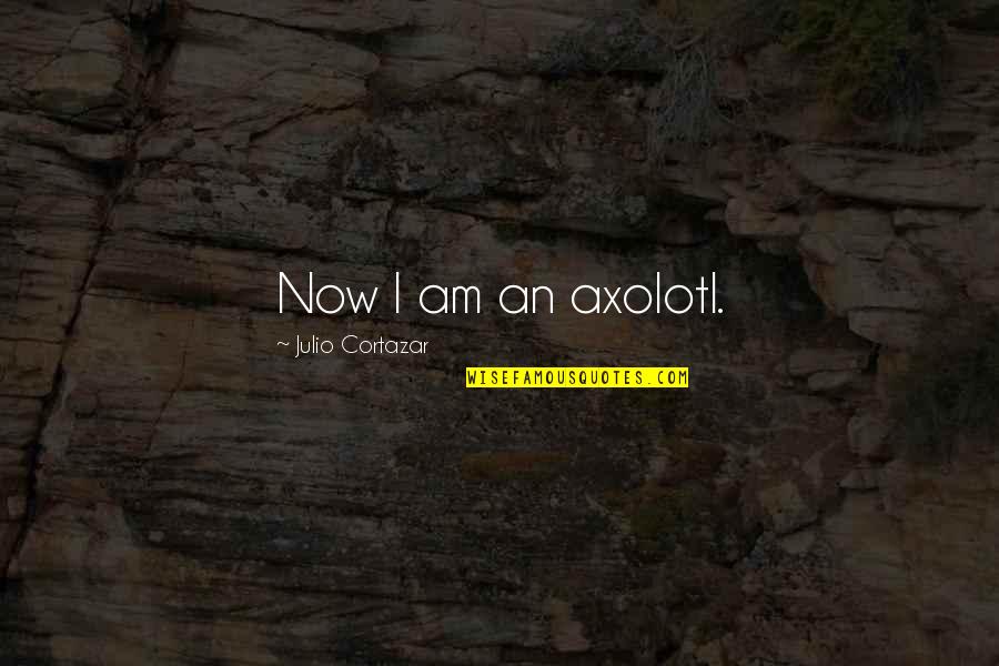Julio Cortazar Quotes By Julio Cortazar: Now I am an axolotl. Julio Cortazar Quotes By Julio Cortazar: Now I am an axolotl.