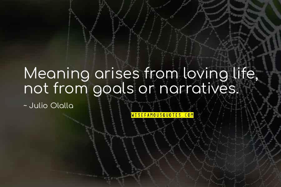 Julio Olalla Quotes By Julio Olalla: Meaning arises from loving life, not from goals