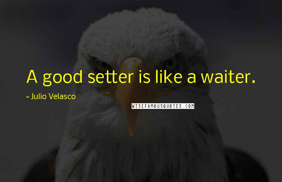 Julio Velasco quotes: A good setter is like a waiter.