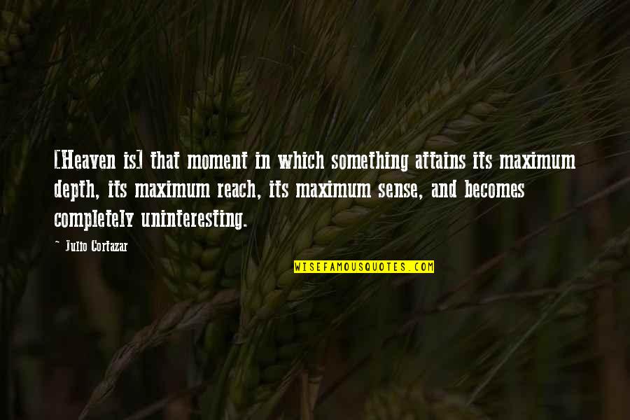 Julio's Quotes By Julio Cortazar: [Heaven is] that moment in which something attains
