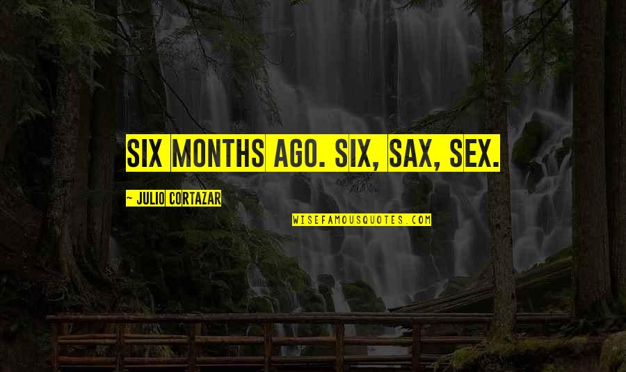 Julio's Quotes By Julio Cortazar: Six months ago. Six, sax, sex.