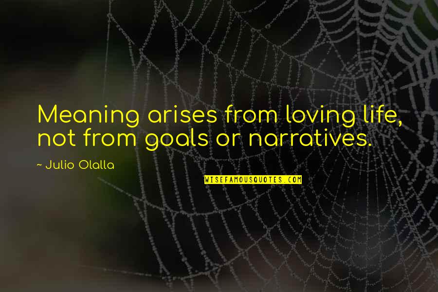 Julio's Quotes By Julio Olalla: Meaning arises from loving life, not from goals