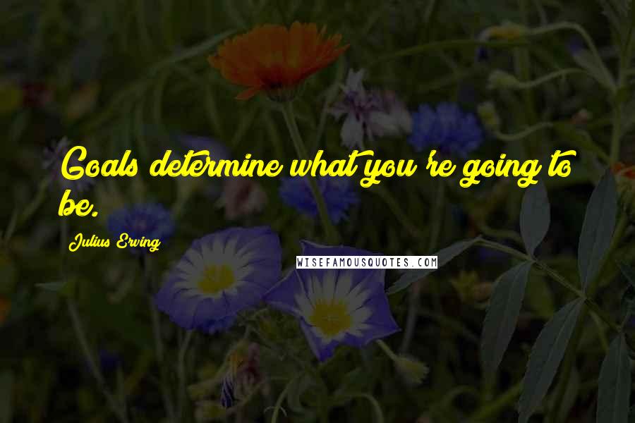 Julius Erving quotes: Goals determine what you're going to be.