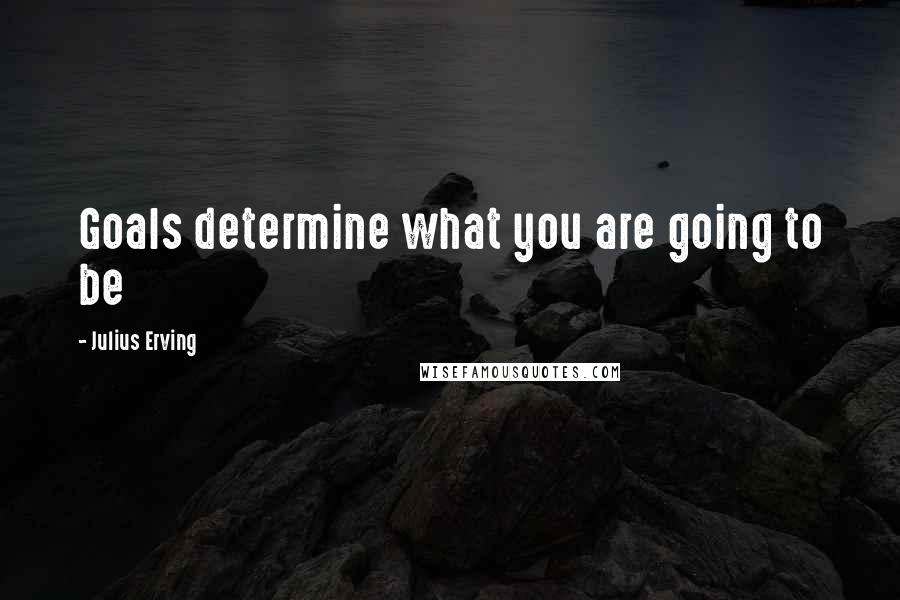 Julius Erving quotes: Goals determine what you are going to be