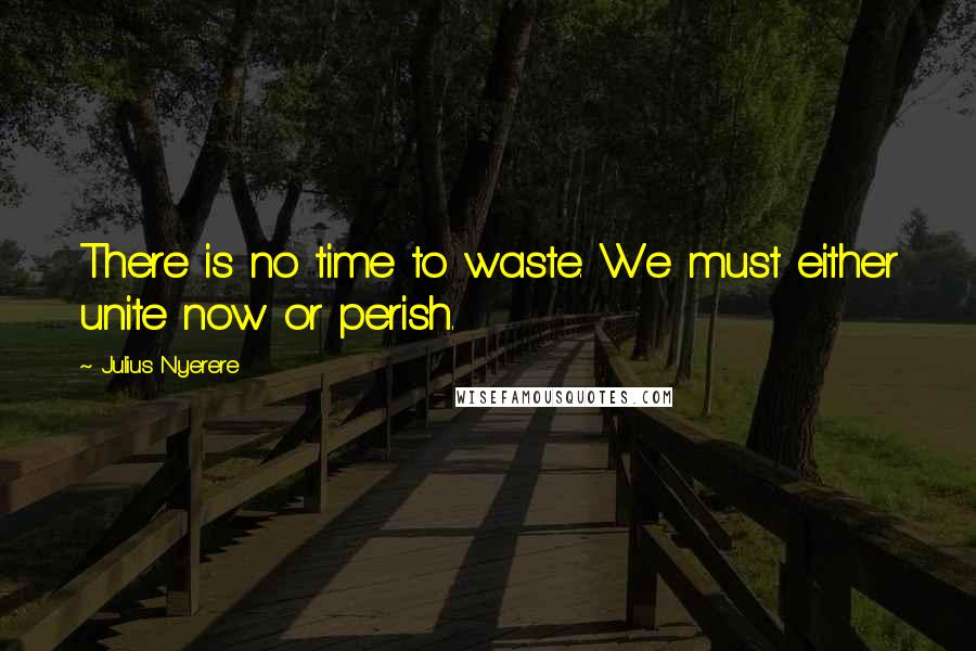Julius Nyerere quotes: There is no time to waste. We must either unite now or perish.