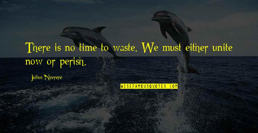 Julius Quotes By Julius Nyerere: There is no time to waste. We must Julius Quotes By Julius Nyerere: There is no time to waste. We must