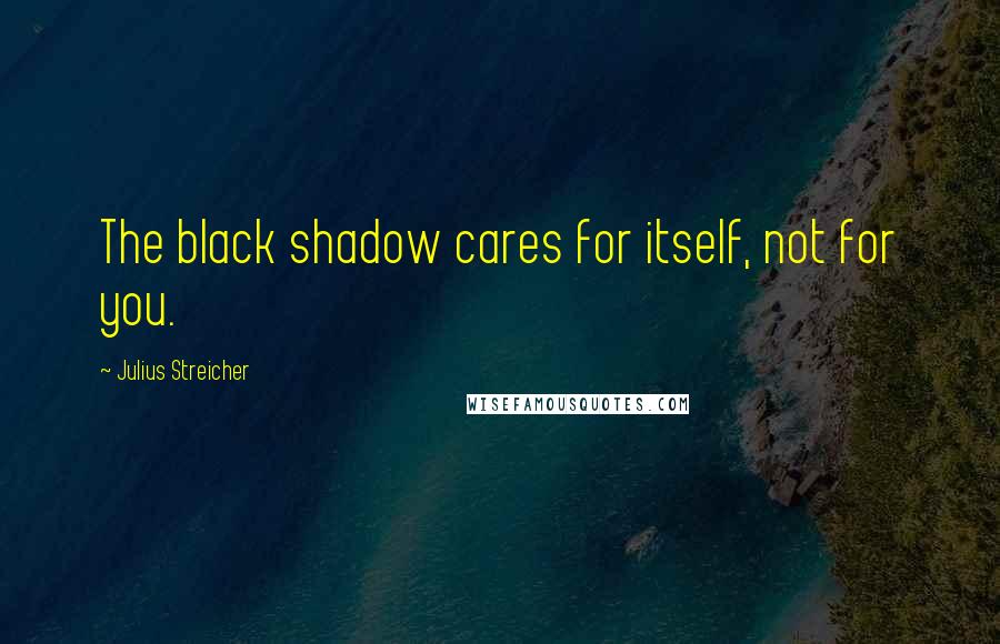 Julius Streicher quotes: The black shadow cares for itself, not for you.