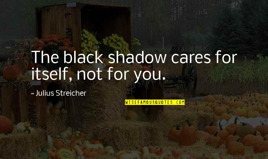 Julius Streicher Quotes By Julius Streicher: The black shadow cares for itself, not for