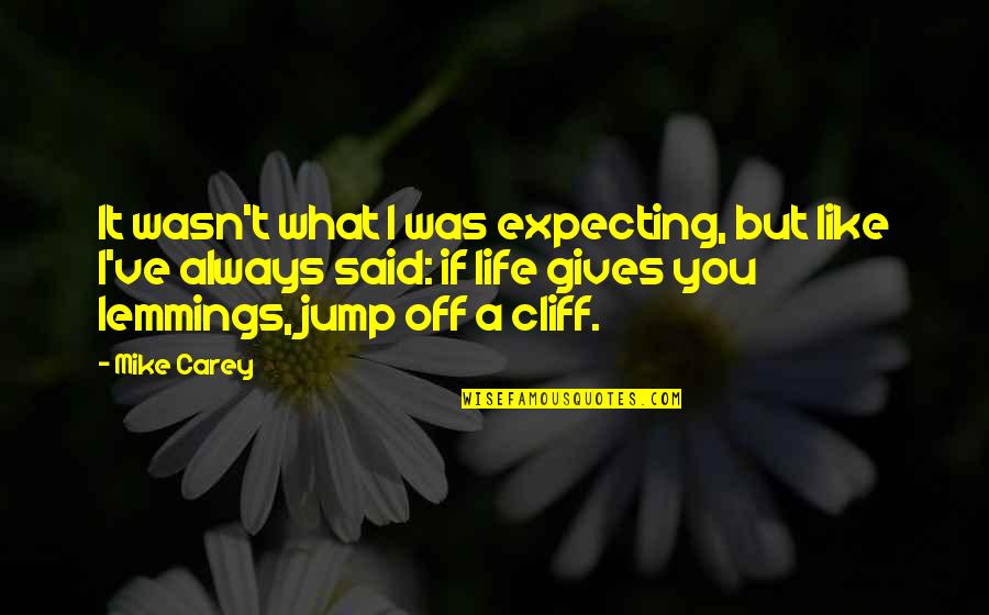 Jump Cliff Quotes By Mike Carey: It wasn't what I was expecting, but like