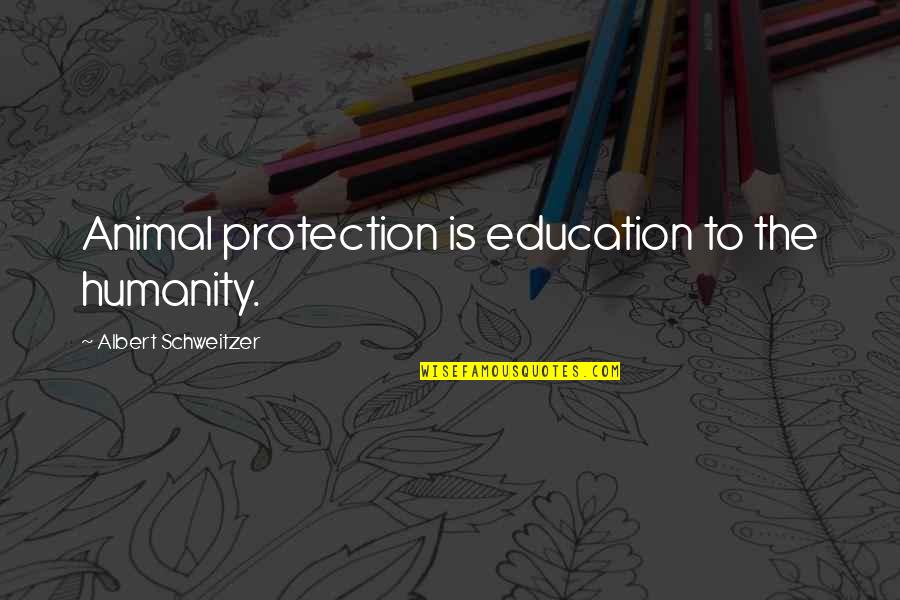 Jumping Horses Quotes By Albert Schweitzer: Animal protection is education to the humanity. Jumping Horses Quotes By Albert Schweitzer: Animal protection is education to the humanity.