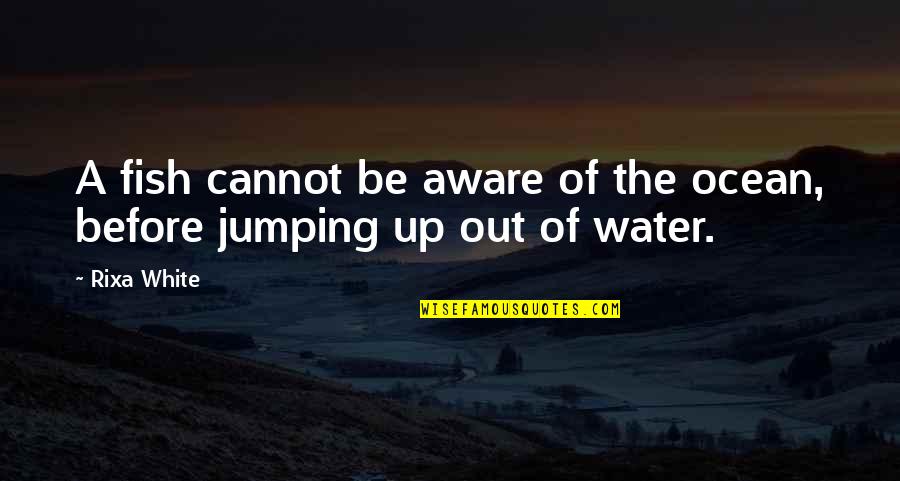 Jumping In Water Quotes By Rixa White: A fish cannot be aware of the ocean,