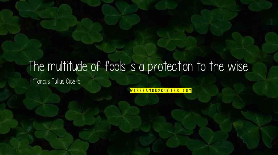 Jumping Into Love Quotes By Marcus Tullius Cicero: The multitude of fools is a protection to Jumping Into Love Quotes By Marcus Tullius Cicero: The multitude of fools is a protection to