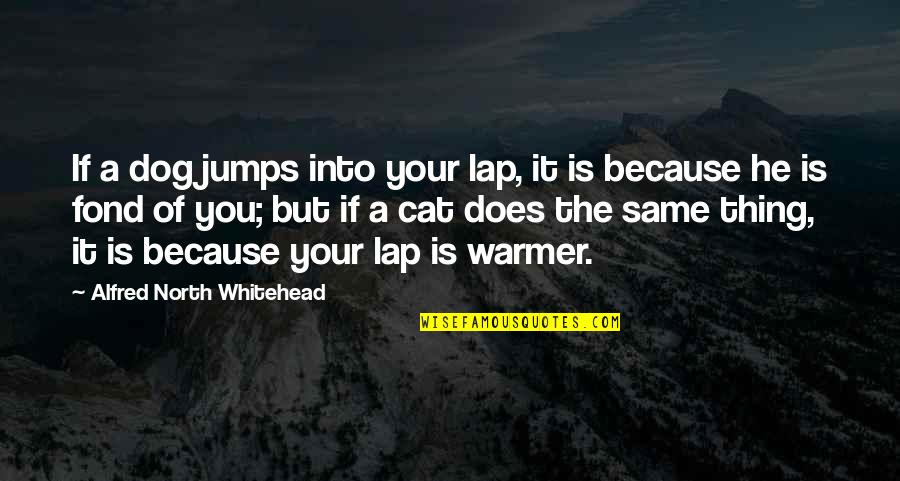 Jumps Quotes By Alfred North Whitehead: If a dog jumps into your lap, it