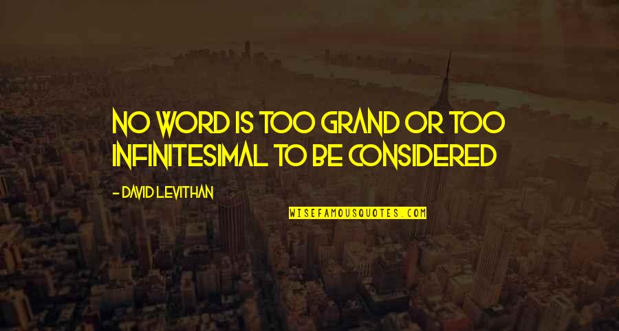 Junaid Altaf Quotes By David Levithan: No word is too grand or too infinitesimal