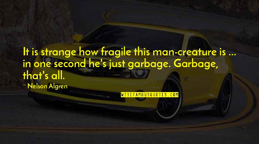 Juncadella Ferrari Quotes By Nelson Algren: It is strange how fragile this man-creature is