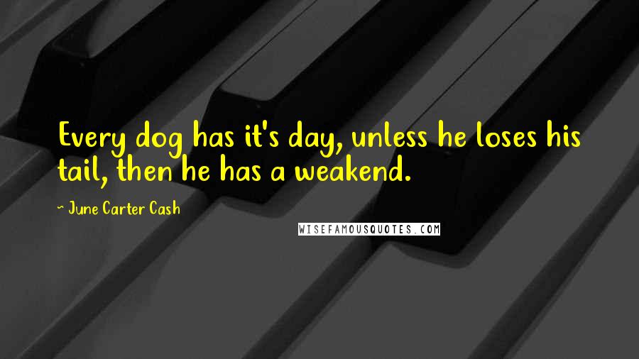 June Carter Cash quotes: Every dog has it's day, unless he loses his tail, then he has a weakend.