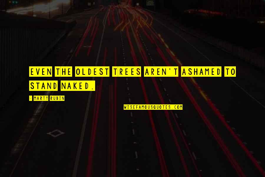 June Cleaver Beaver Quotes By Marty Rubin: Even the oldest trees aren't ashamed to stand June Cleaver Beaver Quotes By Marty Rubin: Even the oldest trees aren't ashamed to stand