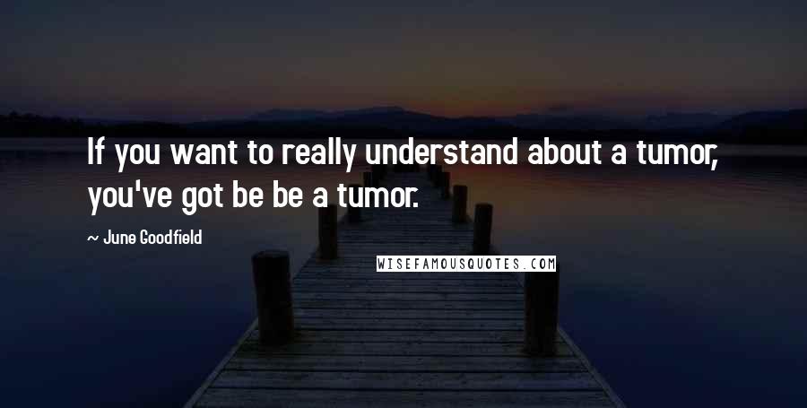 June Goodfield quotes: If you want to really understand about a tumor, you've got be be a tumor.
