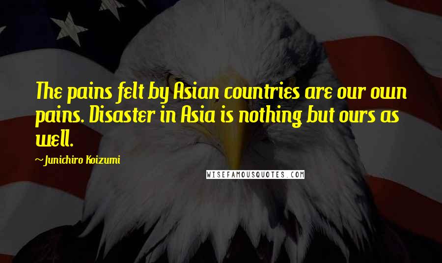 Junichiro Koizumi quotes: The pains felt by Asian countries are our own pains. Disaster in Asia is nothing but ours as well.