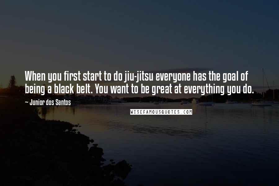 Junior Dos Santos quotes: When you first start to do jiu-jitsu everyone has the goal of being a black belt. You want to be great at everything you do.