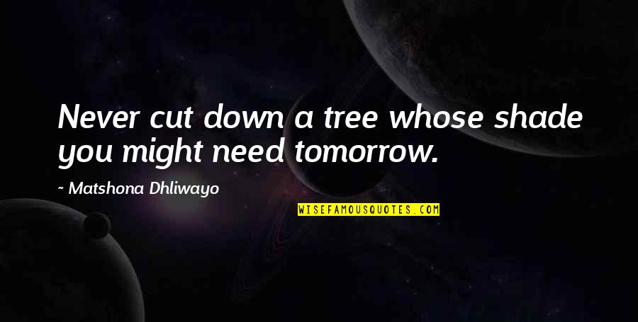 Junior High Motivational Quotes By Matshona Dhliwayo: Never cut down a tree whose shade you