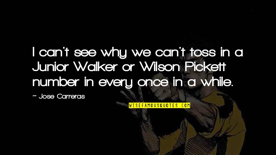 Junior Quotes By Jose Carreras: I can't see why we can't toss in
