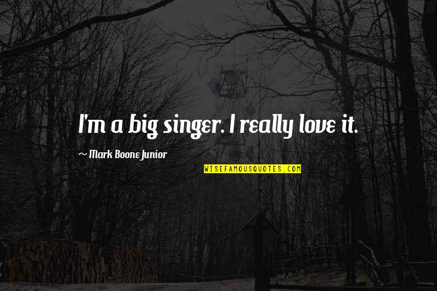 Junior Quotes By Mark Boone Junior: I'm a big singer. I really love it.