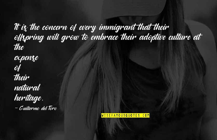 Juniors And Seniors Promenade Quotes By Guillermo Del Toro: It is the concern of every immigrant that