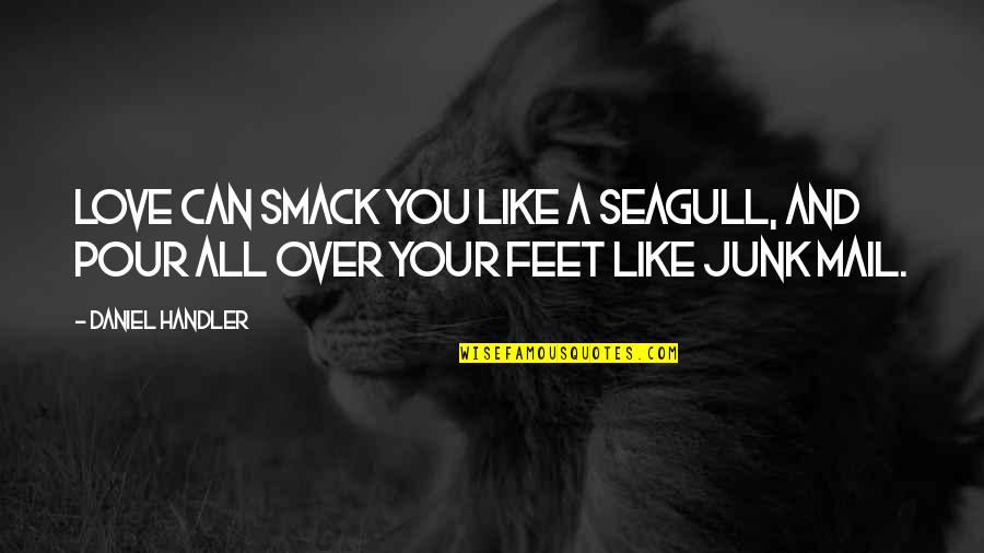 Junk Mail Quotes By Daniel Handler: Love can smack you like a seagull, and