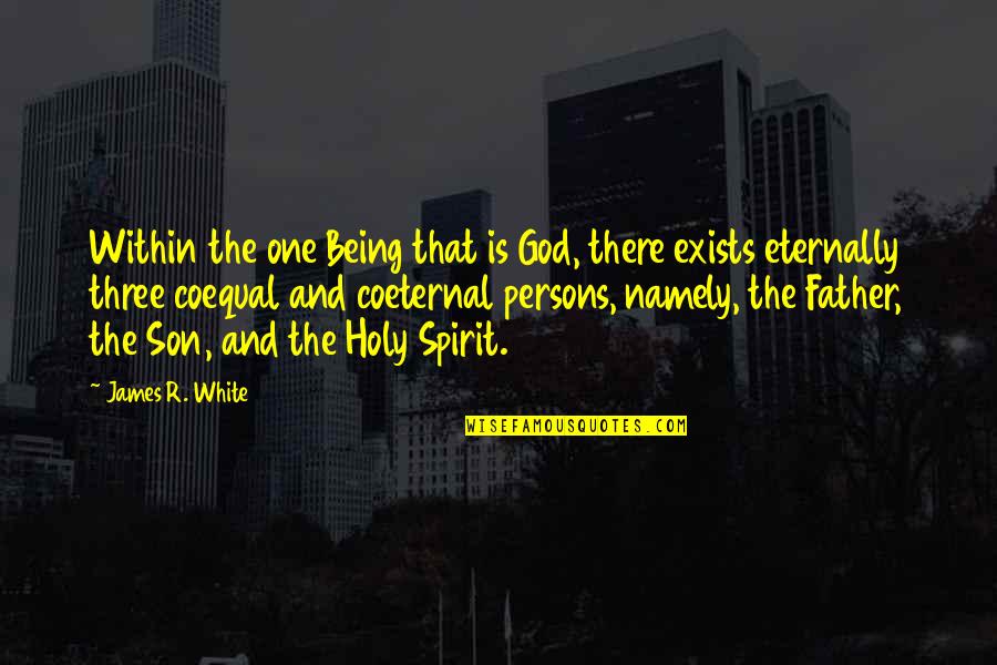 Junkan Quotes By James R. White: Within the one Being that is God, there Junkan Quotes By James R. White: Within the one Being that is God, there