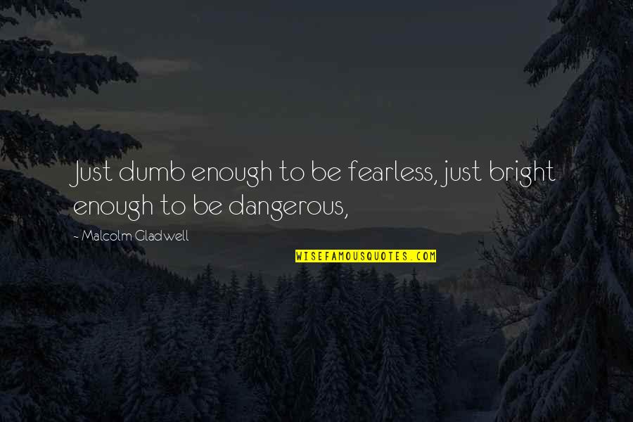 Junkesteem Quotes By Malcolm Gladwell: Just dumb enough to be fearless, just bright