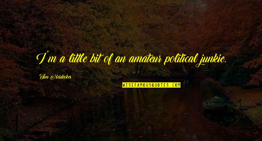 Junkie Quotes By Tim Heidecker: I'm a little bit of an amateur political