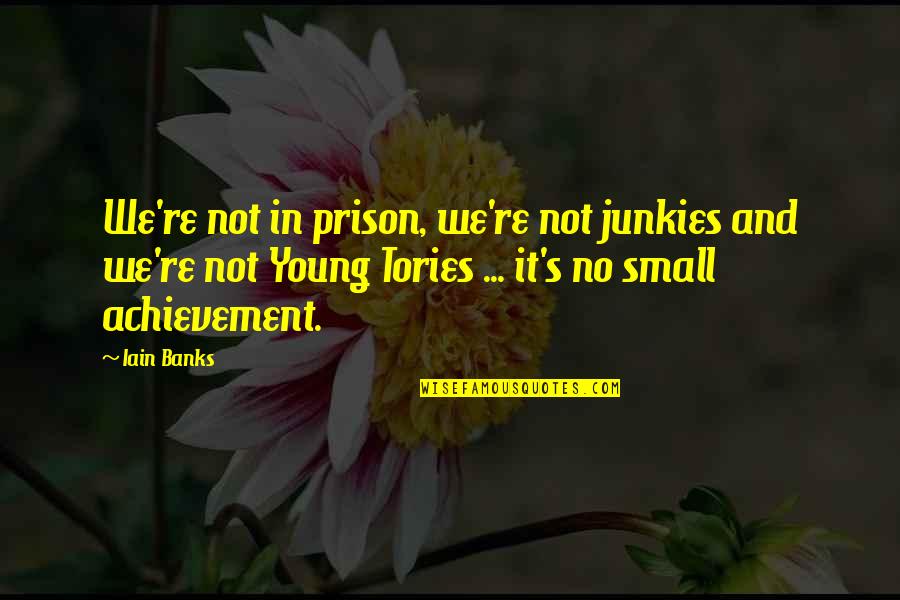 Junkies Quotes By Iain Banks: We're not in prison, we're not junkies and