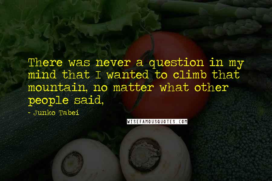 Junko Tabei quotes: There was never a question in my mind that I wanted to climb that mountain, no matter what other people said,