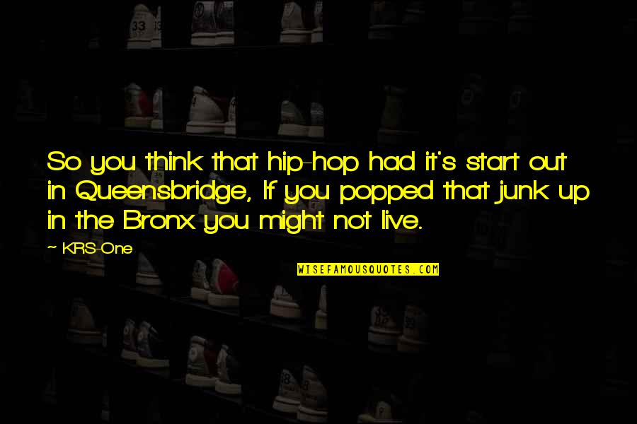 Junk's Quotes By KRS-One: So you think that hip-hop had it's start