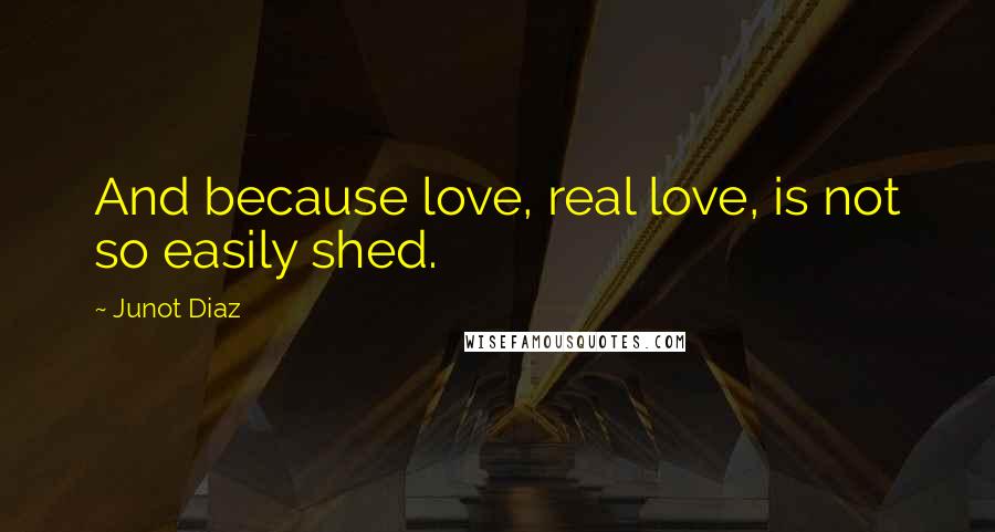 Junot Diaz quotes: And because love, real love, is not so easily shed. Junot Diaz quotes: And because love, real love, is not so easily shed.