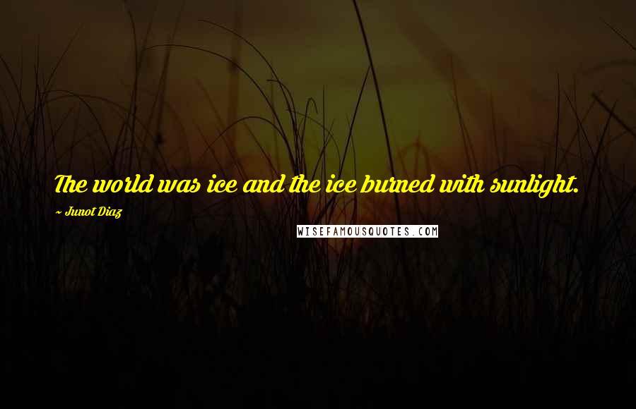 Junot Diaz quotes: The world was ice and the ice burned with sunlight. Junot Diaz quotes: The world was ice and the ice burned with sunlight.