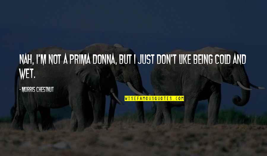 Juppenlatz Family Tree Quotes By Morris Chestnut: Nah, I'm not a prima donna, but I