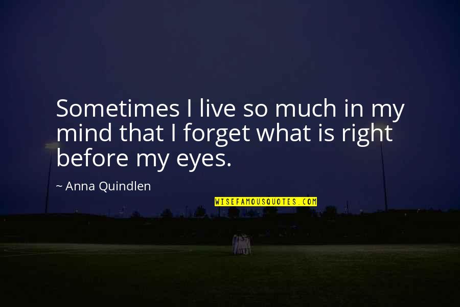 Jurang Digital Quotes By Anna Quindlen: Sometimes I live so much in my mind