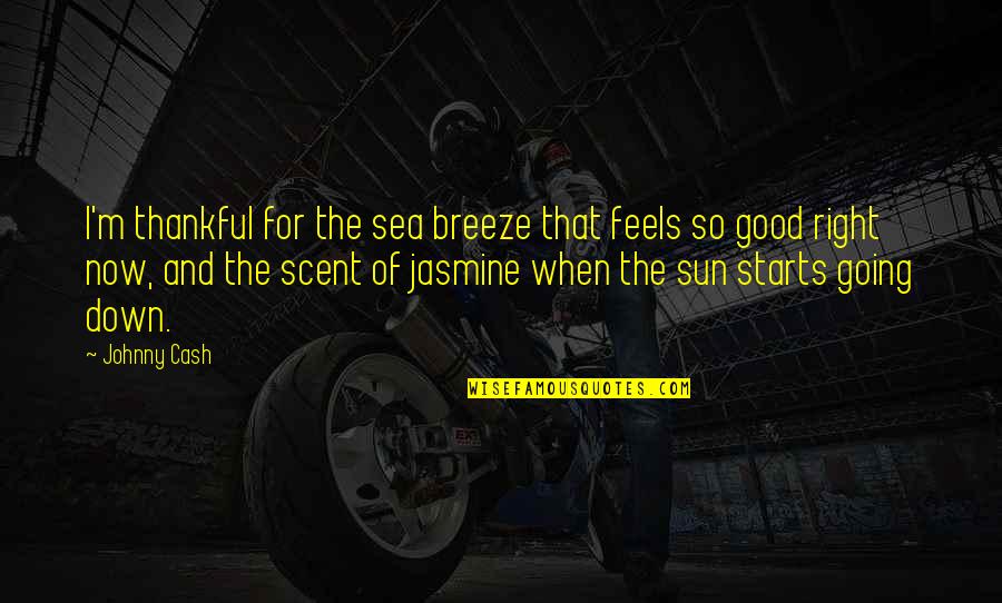 Jurema Sagrada Quotes By Johnny Cash: I'm thankful for the sea breeze that feels Jurema Sagrada Quotes By Johnny Cash: I'm thankful for the sea breeze that feels