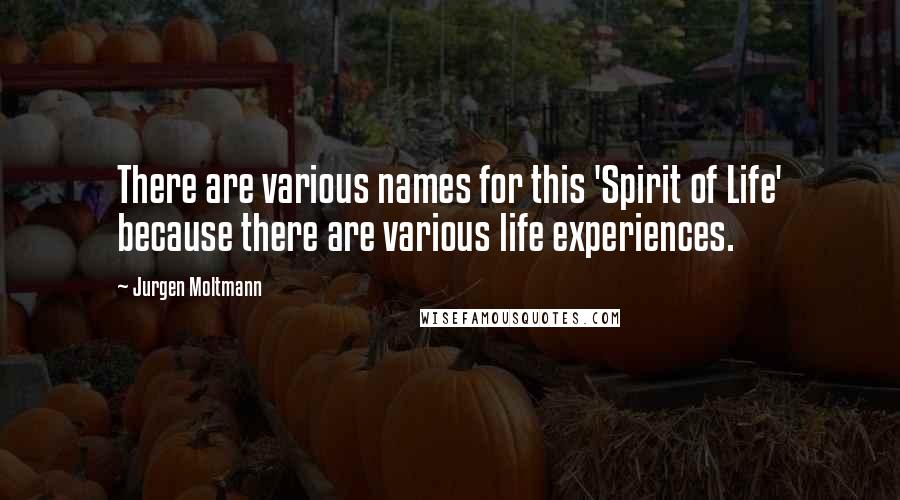 Jurgen Moltmann quotes: There are various names for this 'Spirit of Life' because there are various life experiences.
