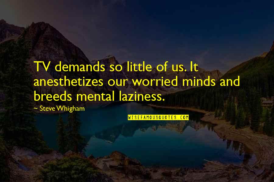 Juridization Quotes By Steve Whigham: TV demands so little of us. It anesthetizes