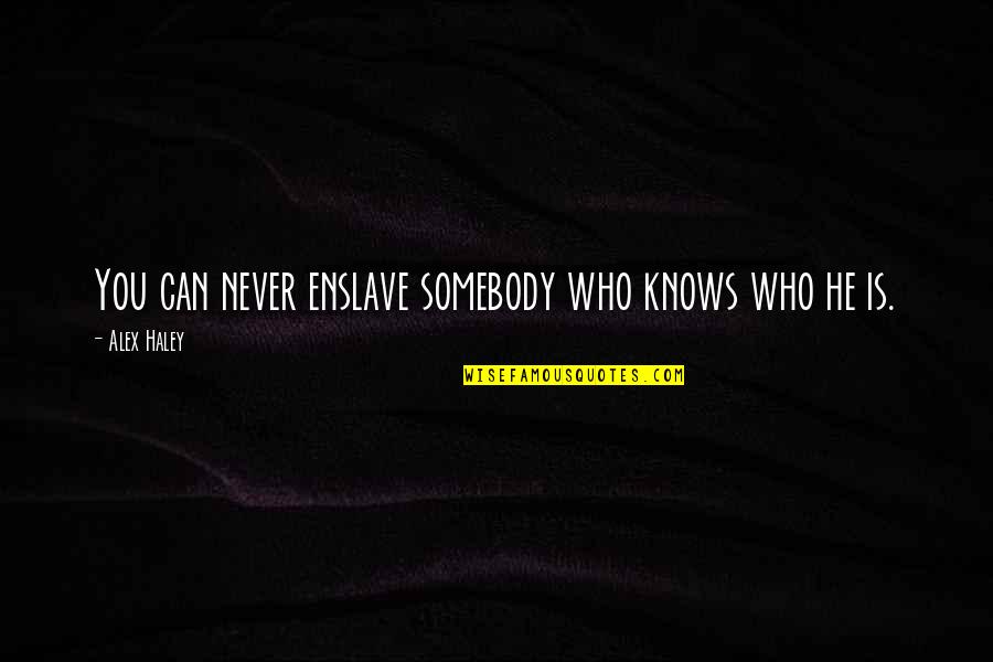 Jurisdictional Wetlands Quotes By Alex Haley: You can never enslave somebody who knows who Jurisdictional Wetlands Quotes By Alex Haley: You can never enslave somebody who knows who