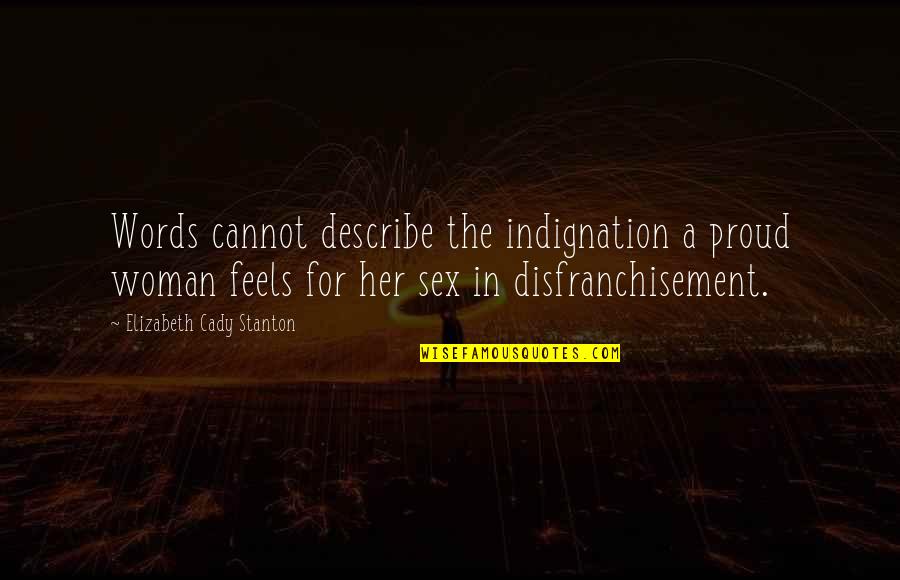 Jurisprudence Legal Positivism Quotes By Elizabeth Cady Stanton: Words cannot describe the indignation a proud woman