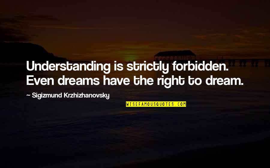 Jurvetson Investigation Quotes By Sigizmund Krzhizhanovsky: Understanding is strictly forbidden. Even dreams have the
